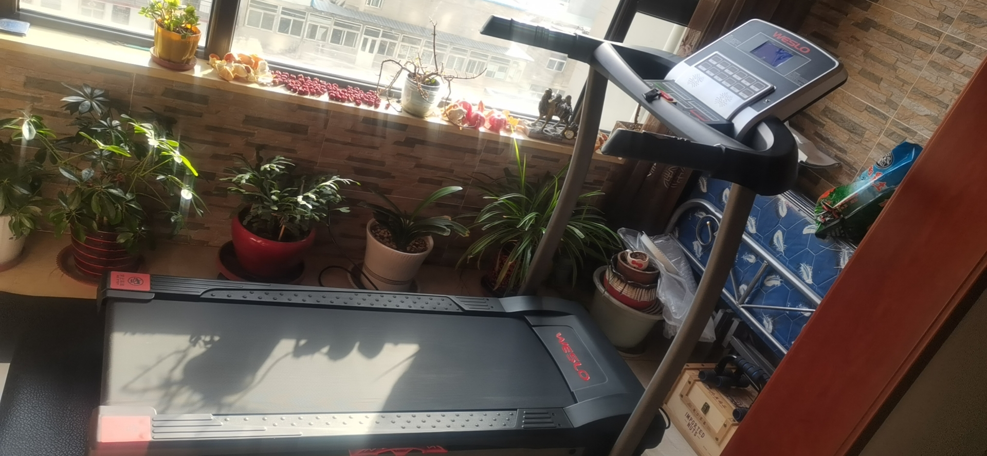 家用成人抖音视频多少钱一台