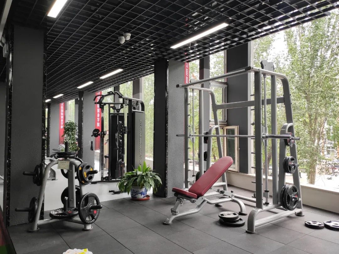 抖音成人在线视频健身器材