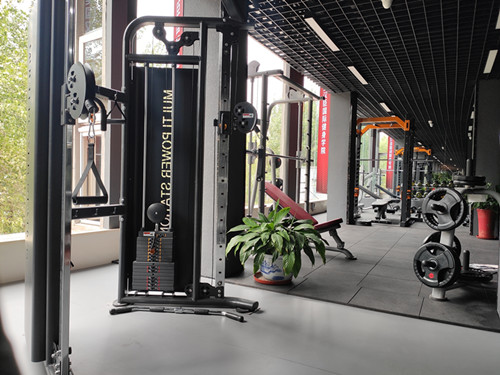 大飞鸟和小飞鸟 大飞鸟和小飞鸟